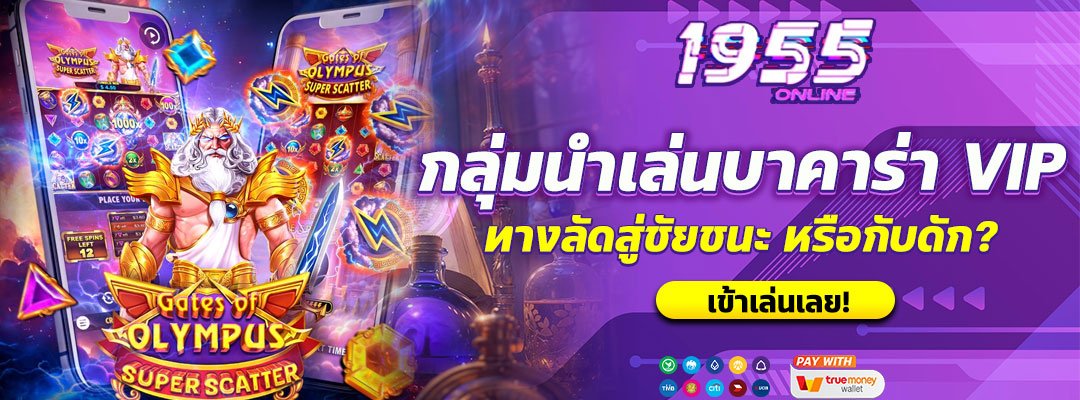 กลุ่มนำเล่นบาคาร่า VIP